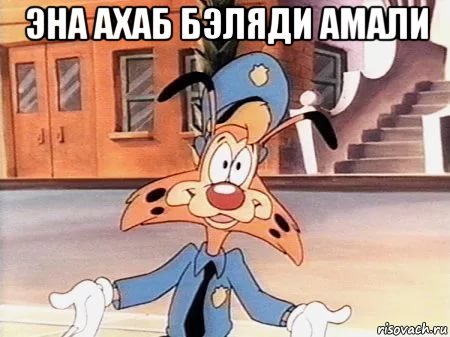 эна ахаб бэляди амали , Мем Bonkers
