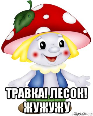  травка! лесок! жужужу, Мем Боровичок