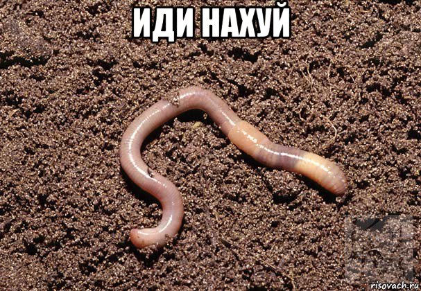 иди нахуй 