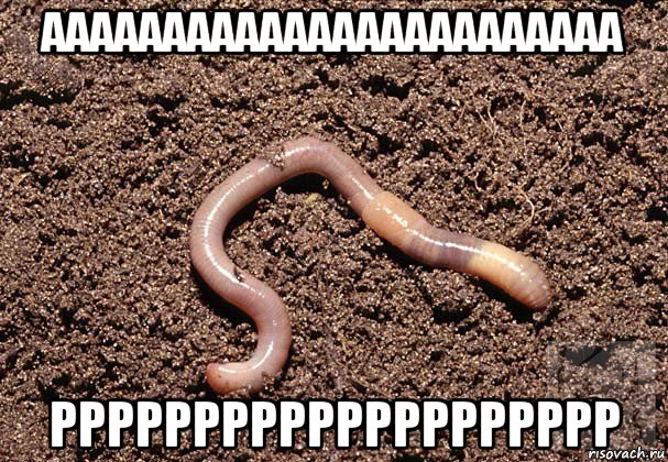 аааааааааааааааааааааааа рррррррррррррррррррр