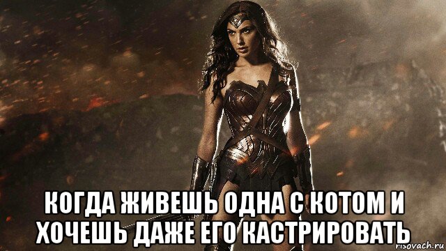  когда живешь одна с котом и хочешь даже его кастрировать, Мем Чудо-женщина-Wonder Woman