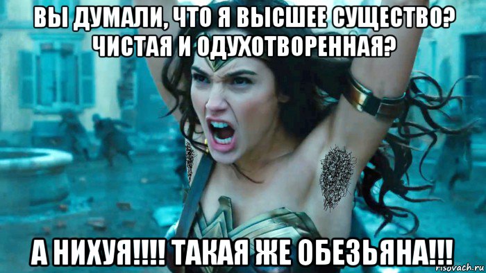 вы думали, что я высшее существо? чистая и одухотворенная? а нихуя!!!! такая же обезьяна!!!, Мем Чудо-женщина