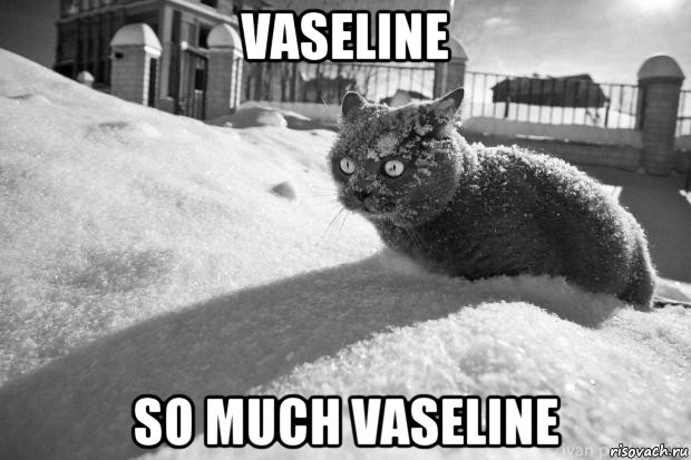 vaseline so much vaseline