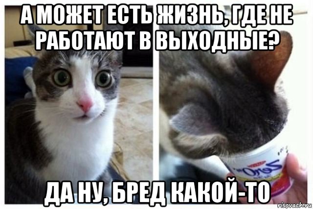 а может есть жизнь, где не работают в выходные? да ну, бред какой-то, Мем Да ну бред какой-то