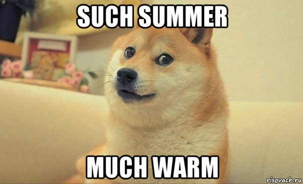 such summer much warm, Мем DOGE