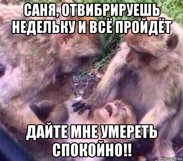 саня, отвибрируешь недельку и всё пройдёт дайте мне умереть спокойно!!, Мем Дайте мне спокойно умереть