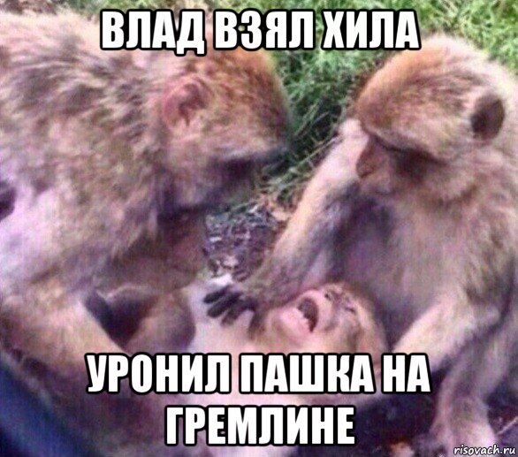 влад взял хила уронил пашка на гремлине, Мем Дайте мне спокойно умереть
