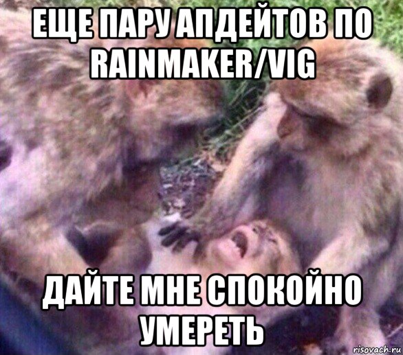 еще пару апдейтов по rainmaker/vig дайте мне спокойно умереть, Мем Дайте мне спокойно умереть