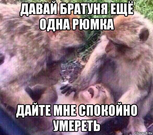 давай братуня ещё одна рюмка дайте мне спокойно умереть, Мем Дайте мне спокойно умереть