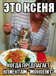 это ксеня когда предлагает клиентам "монолит", Мем Девушка кормит кота