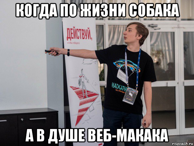 когда по жизни собака а в душе веб-макака, Мем Димасик