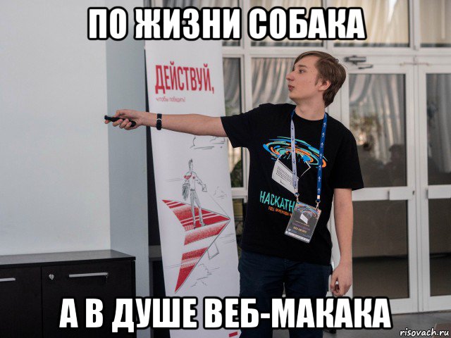 по жизни собака а в душе веб-макака, Мем Димасик