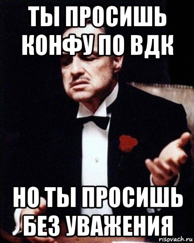ты просишь конфу по вдк но ты просишь без уважения