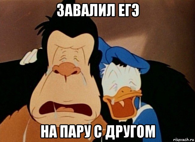 завалил егэ на пару с другом, Мем Дональд плачет с гориллой