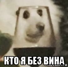  кто я без вина, Мем ДОРОУ