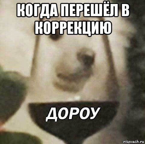 когда перешёл в коррекцию , Мем Дороу