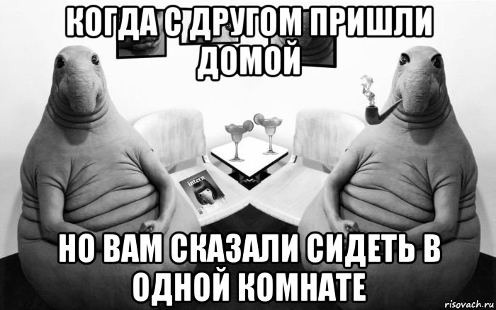 когда с другом пришли домой но вам сказали сидеть в одной комнате, Мем  Два ждуна