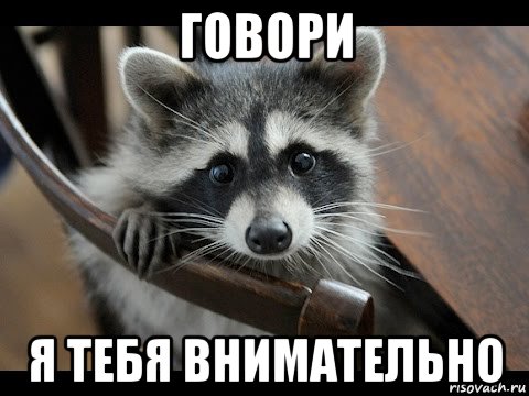 говори я тебя внимательно, Мем Енотик