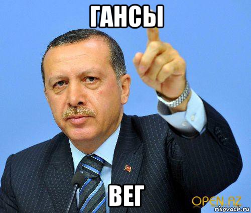 гансы вег