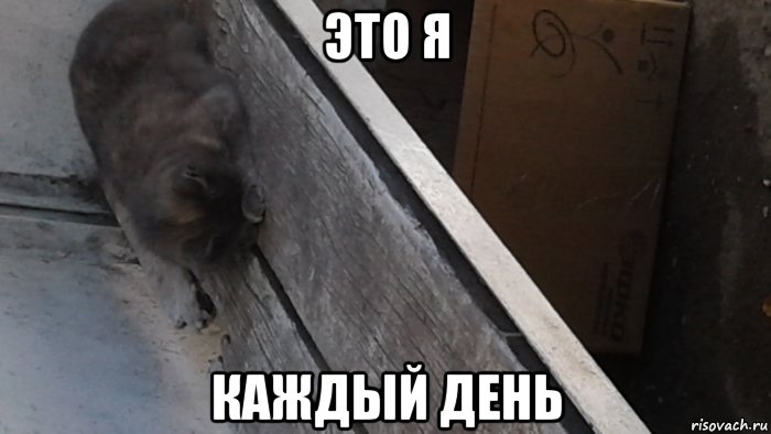 это я каждый день, Мем Это я каждый день