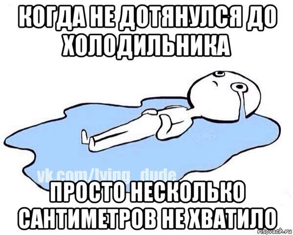 когда не дотянулся до холодильника просто несколько сантиметров не хватило, Мем Этот момент когда