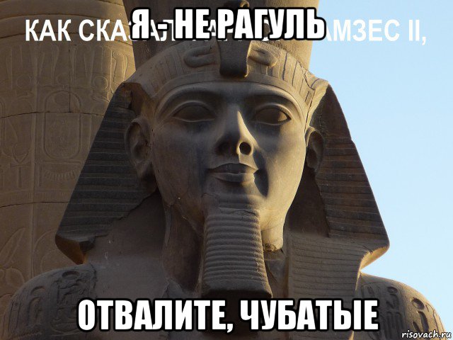 я - не рагуль отвалите, чубатые, Мем Фараон Рамзес Второй