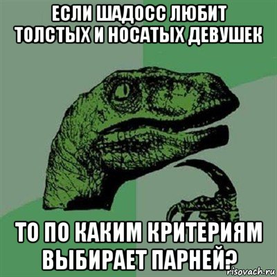 если шадосс любит толстых и носатых девушек то по каким критериям выбирает парней?, Мем Филосораптор