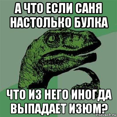 а что если саня настолько булка что из него иногда выпадает изюм?, Мем Филосораптор