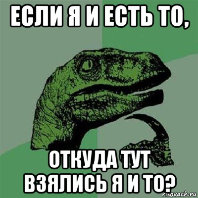 если я и есть то, откуда тут взялись я и то?, Мем Филосораптор