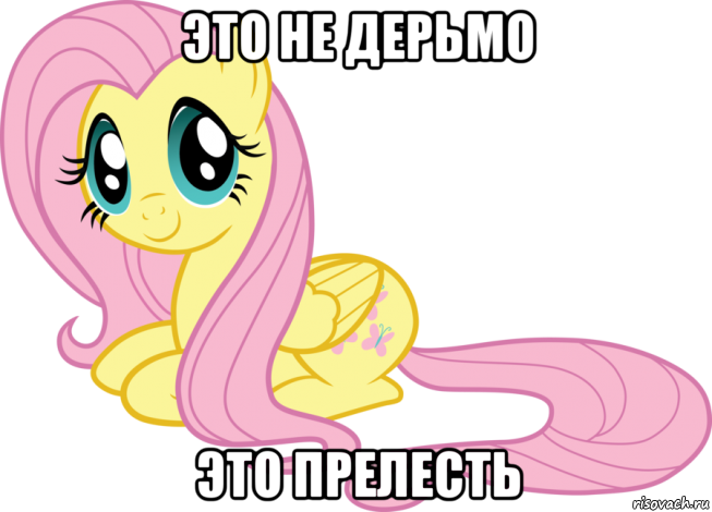 это не дерьмо это прелесть, Мем Флаттершай няшка милашка