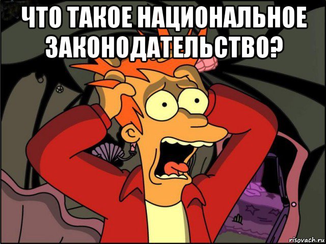 что такое национальное законодательство? , Мем Фрай в панике