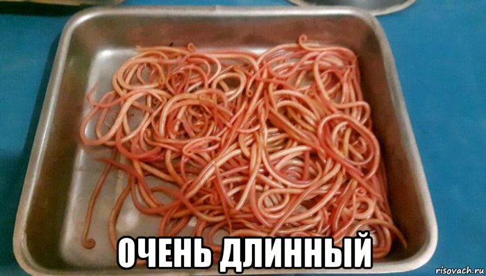  очень длинный, Мем Французский червь