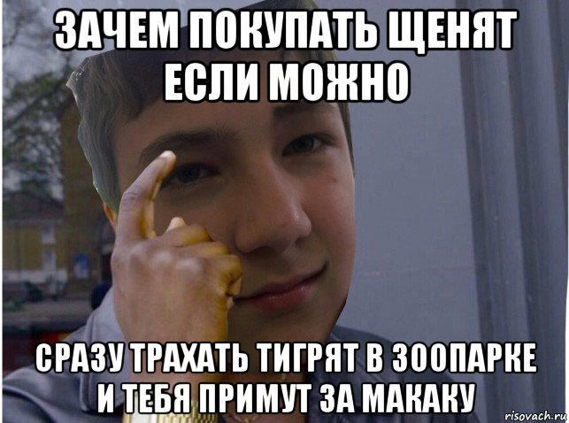 зачем покупать щенят если можно сразу трахать тигрят в зоопарке и тебя примут за макаку, Мем Гидаун