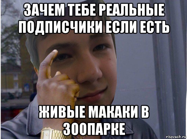 зачем тебе реальные подписчики если есть живые макаки в зоопарке