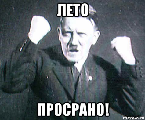 лето просрано!, Мем ГИТЛЕр