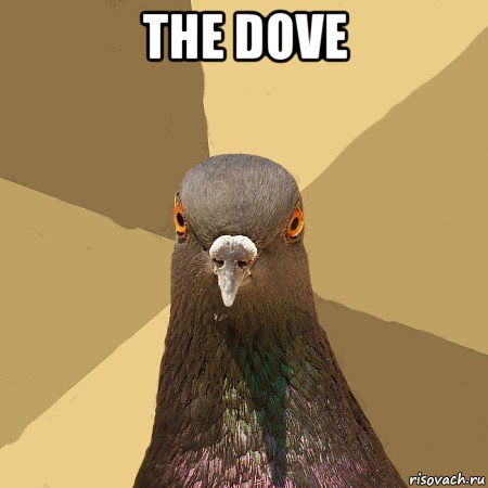 the dove 