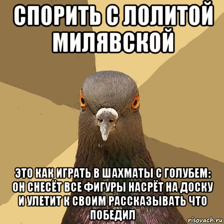 спорить с лолитой милявской это как играть в шахматы с голубем: он снесёт все фигуры насрёт на доску и улетит к своим рассказывать что победил, Мем голубь