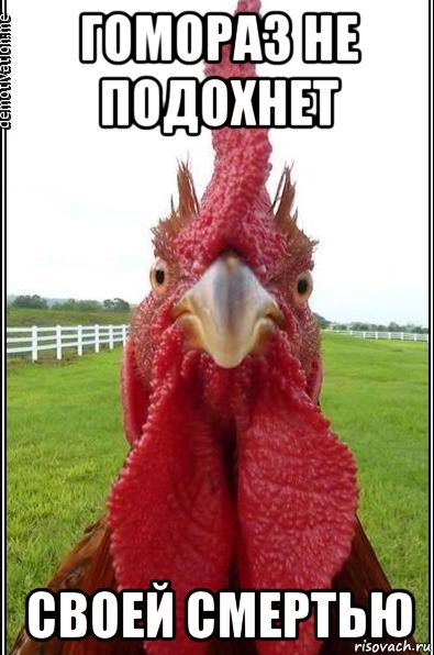 гомораз не подохнет своей смертью