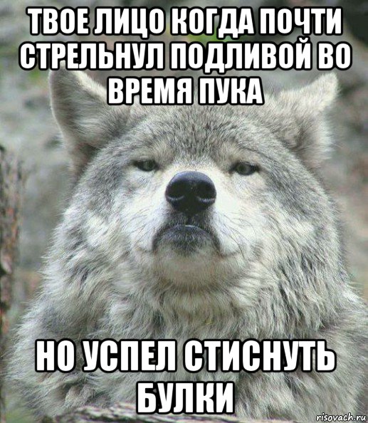 твое лицо когда почти стрельнул подливой во время пука но успел стиснуть булки, Мем    Гордый волк