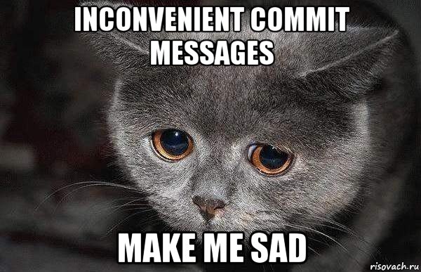 inconvenient commit messages make me sad, Мем  Грустный кот