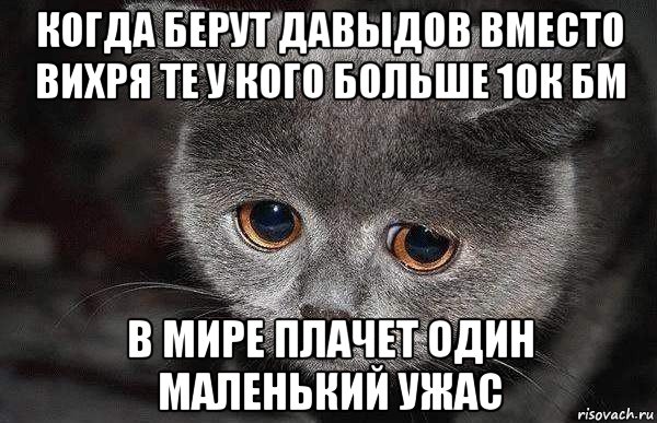 когда берут давыдов вместо вихря те у кого больше 10к бм в мире плачет один маленький ужас, Мем  Грустный кот