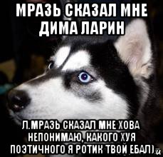 мразь сказал мне дима ларин л.мразь сказал мне хова непонимаю, какого хуя поэтичного я ротик твой ебал), Мем Хаски заебали