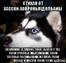 стихан от хасски-ховронья(долбаиб) ненавижу я давно, твое убогое е*ло. твои грязные мыслишки. твои потные подмышки. и глаза твои косые и мозги твои тугие, Мем Хаски заебали