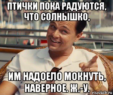 птички пока радуются, что солнышко, им надоело мокнуть, наверное. ж.-у., Мем Хитрый Гэтсби