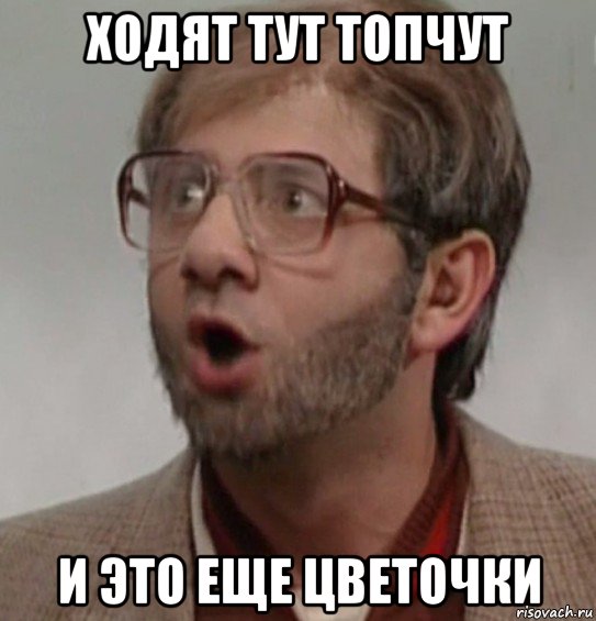 ходят тут топчут и это еще цветочки, Мем Ходят тут топчут