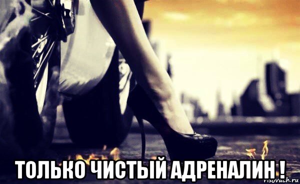  только чистый адреналин !, Мем Хватай беги