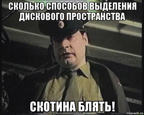 сколько способов выделения дискового пространства скотина блять!, Мем Капитан зеленый слоник