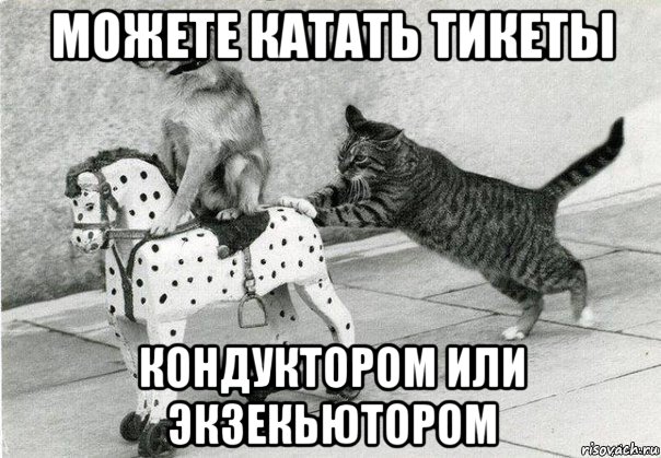 можете катать тикеты кондуктором или экзекьютором, Мем Катись к хуям