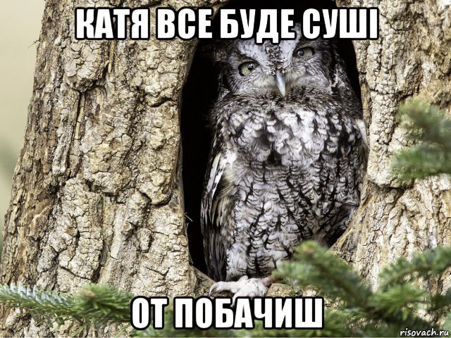 катя все буде суші от побачиш, Мем Катя все буде пепсі