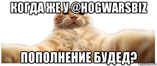 когда же у @hogwarsbiz пополнение будед?, Мем   Кэтсвилл